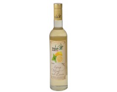 Syrup Mint - Lemon